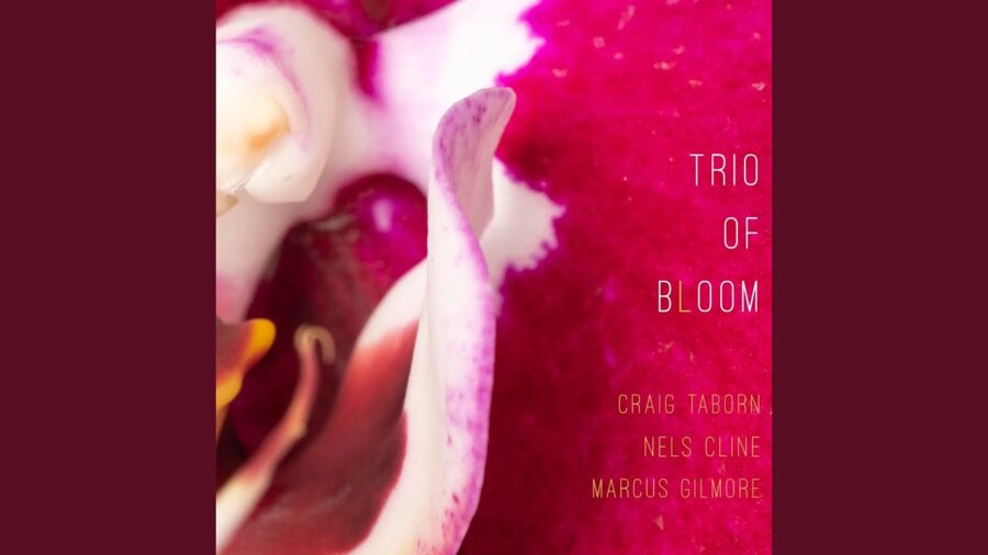 Time Out Take Five: Craig Taborn/Nels Cline/Marcus Gilmore, Sylvie Courvoisier/Wadada Leo Smith, Ron Blake & More