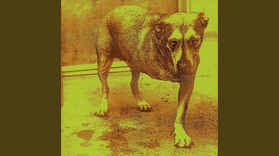 30 Years Ago Today- Alice in Chains Release Self-Titled Third Full Length & Last Studio Album With Layne Staley