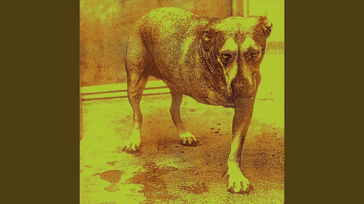 30 Years Ago Today- Alice in Chains Release Self-Titled Third Full Length & Last Studio Album With Layne Staley