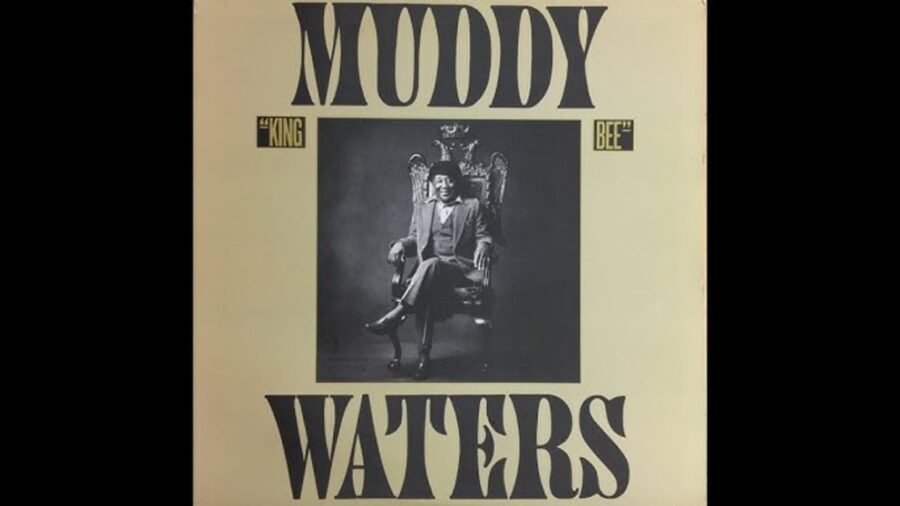 Weirdo Wednesday: Watch Muddy Waters Interviewed (1979)